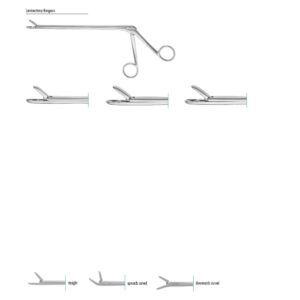 Laminectomy Rongeurs