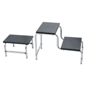 Mounting Step